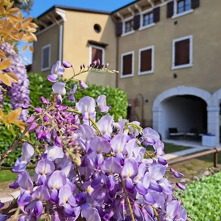 アパート Corte Violeti La Ruota ペスカンティーナ