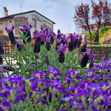Corte Violeti La Ruota Apartment Pescantina